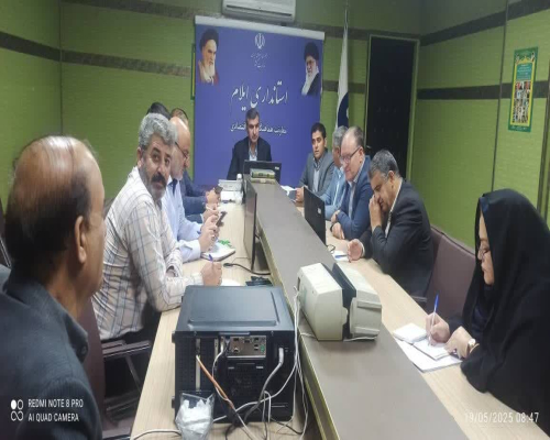  تشکیل انجمن‌های صنفی؛ گامی نو در بهره‌گیری از ظرفیت‌های تخصصی برای توسعه اقتصادی ایلام