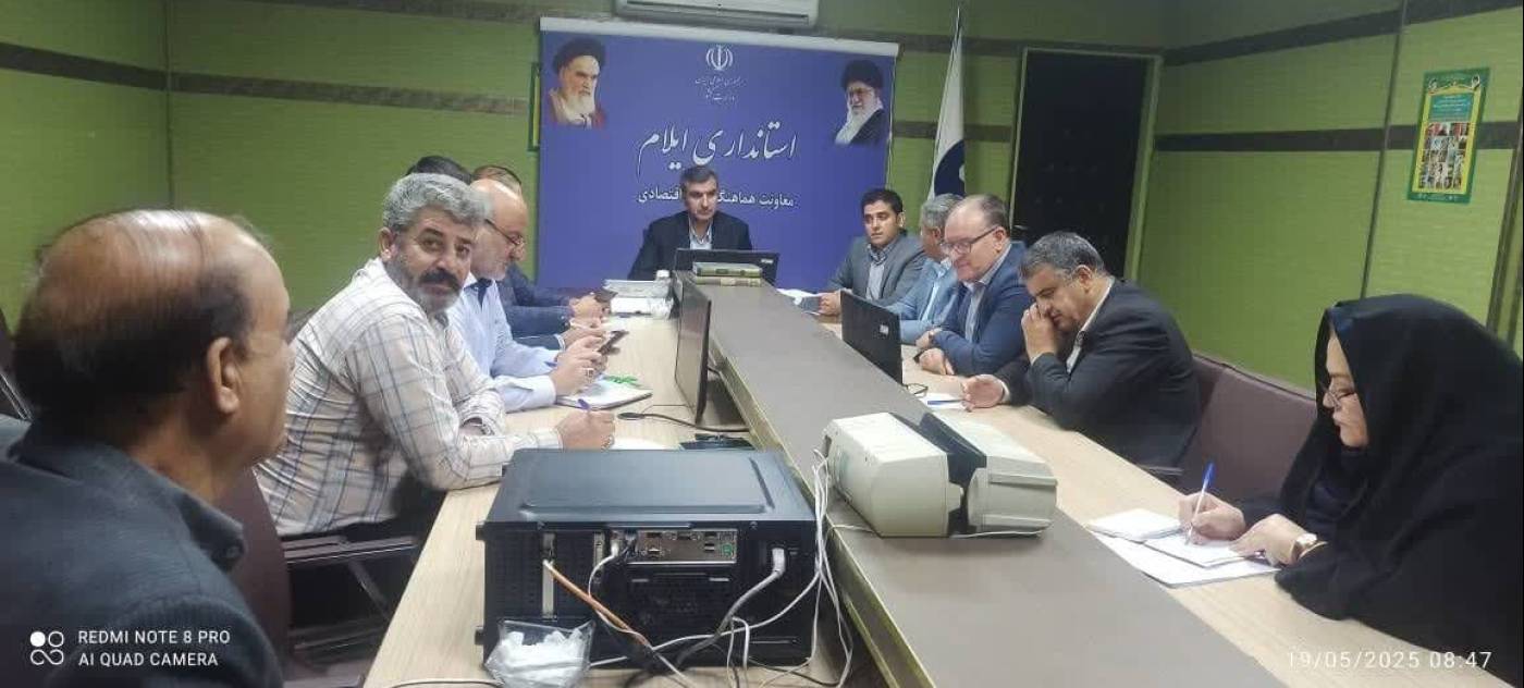  تشکیل انجمن‌های صنفی؛ گامی نو در بهره‌گیری از ظرفیت‌های تخصصی برای توسعه اقتصادی ایلام