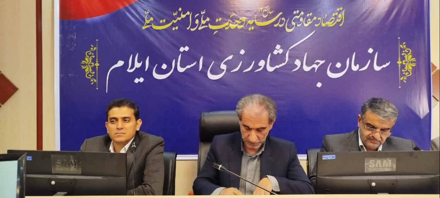 روند تولید مرغ در ایلام تسهیل می‌شود
