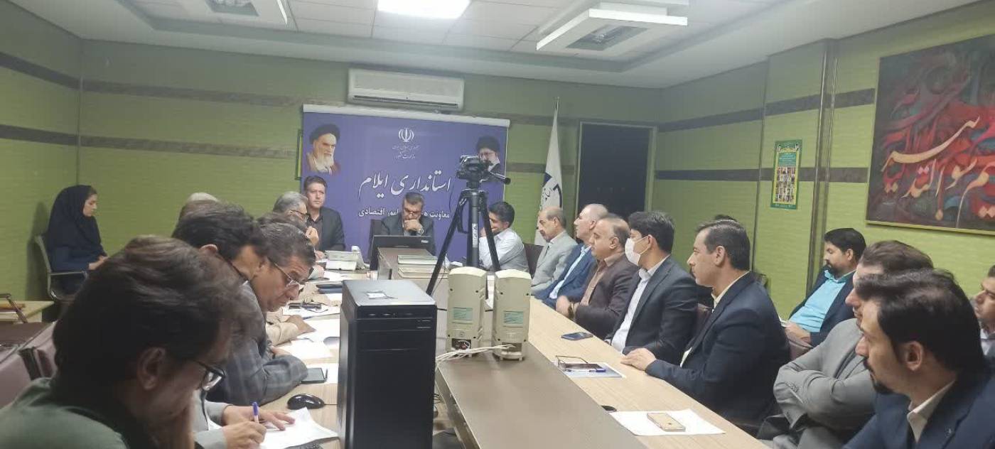 مشکلات ۱۰ واحد تولیدی و خدماتی ایلام در کارگروه تسهیل و رفع موانع تولید تعیین تکلیف شد