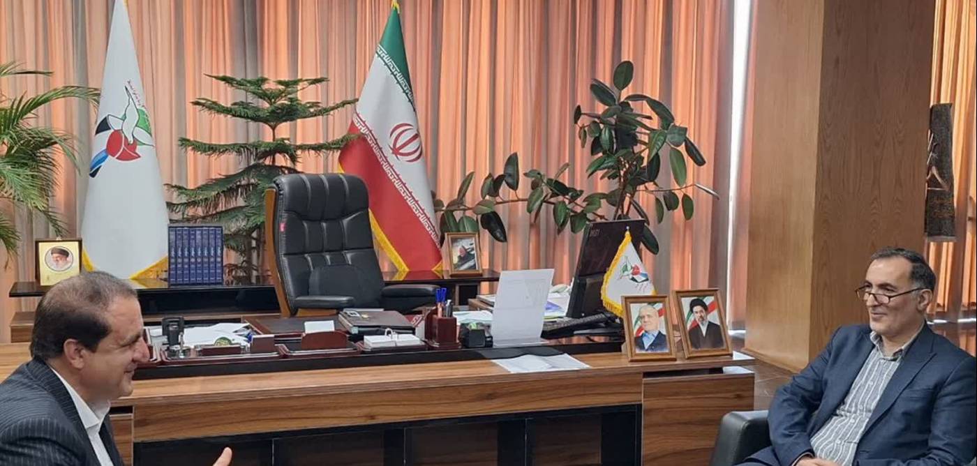 دیدار استاندار ایلام با معاون رئیس جمهور و رئیس بنیاد شهید و امور ایثارگران کشور