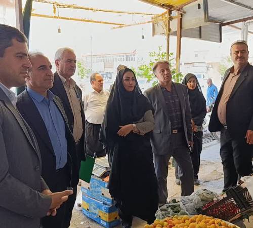 بازدید میدانی ستاد تنظیم بازار شهرستان ایوان از سطح بازار